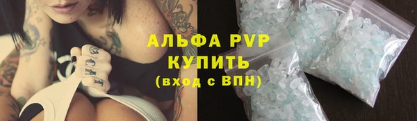 СК Алзамай