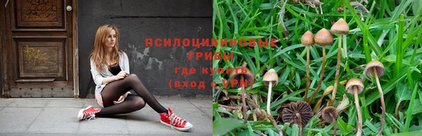 прущая мука Алексеевка