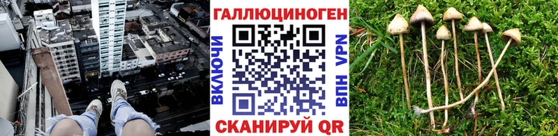 Галлюциногенные грибы мицелий  цены   Павловская 